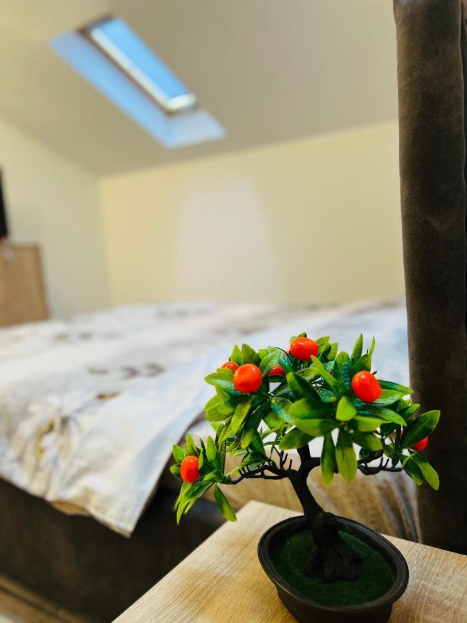 Zizi'S House Garii Leilighet Braşov Eksteriør bilde